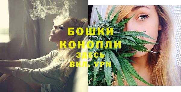 сатива Рославль