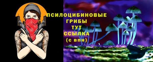 сатива Баксан