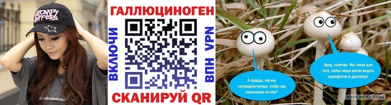 магазин продажи   Кондрово  Галлюциногенные грибы Psilocybine cubensis 